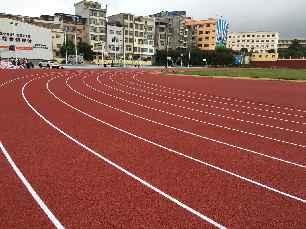 绵阳市EPDM颗粒塑胶跑道材料 - 厂家